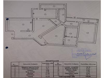 Spatiu comercial 133 mp Nicolina 1